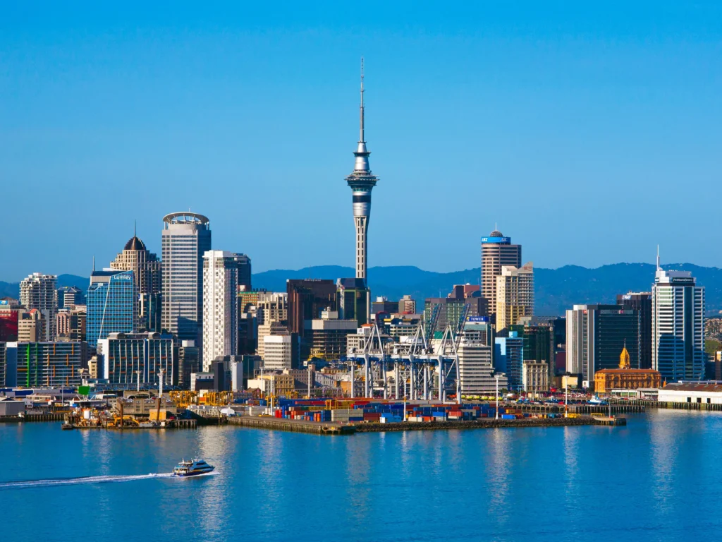 new zealand business document